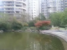 住舒适度 南北通透!出门地铁口 梦时代为邻!因置换诚售!随看