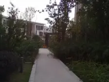 鸳鸯 中冶北麓原三房300万