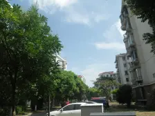 三林新达汇旁 毛坯 自由设计 带阁楼40平左右板式户型