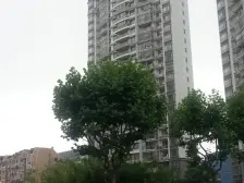 电梯房,边套全明三房两卫,送产权车位