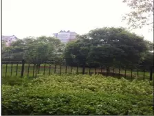 近白水湖 双港学校 出行方便 小区绿化好 价格实惠