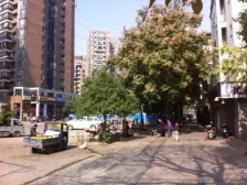 万科西街花园 3室2厅 南