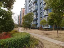 地铁口 电梯纯一手毛坯两房 楼层好全明格局