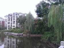 园林式小区环境,业主诚意出售,中间楼层,户型方正。