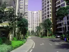对流三房 得房率高 小区中间位置 看花园