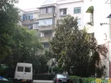 罗山三村 准电梯房老人福利 采光好 有钥匙 看房方便 内环边