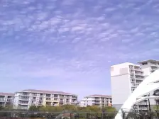 清水毛坯电梯两房,小区优质房源,可以大砍价