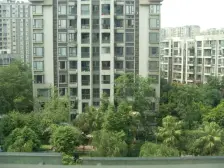 蓝岸B区 4室2厅 南