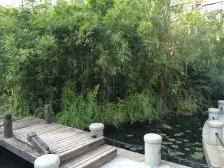 天赐良园 精装房 采光好 拎包入住