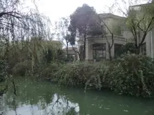 新上独栋 保利十二橡树 精装修自住 大欢绕花园