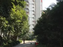理想0769三期两房高楼层格局方正单价1.1万