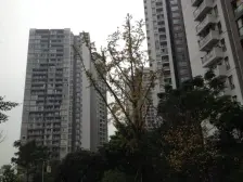 东衡品质精装大三房 高楼层 视野开阔 无遮挡采光好