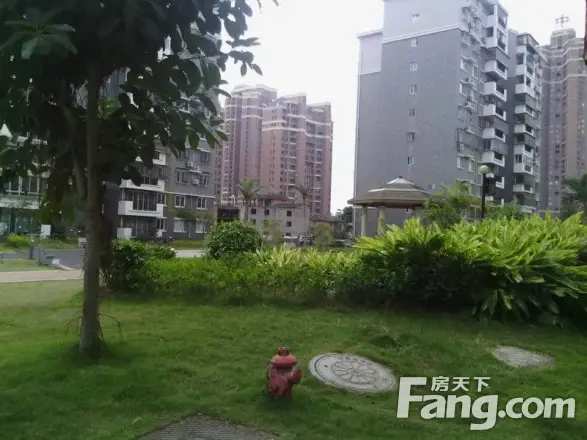 金闽小区