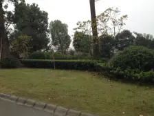 东衡槟城 2室2厅 南