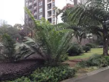 轻轨商圈旁,电梯大三房,住家舒适,楼层好,采光好