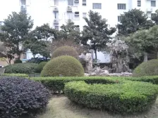 品质小区,环境优美,居家装修,诚意出售