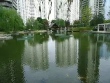 财富海景两千多万入住财富4房,可看江景,园林景观尽收眼底