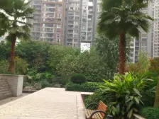 龙头寺 鲁能星城十一街区三房175万