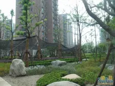 电梯大三房,南大板块,15号线