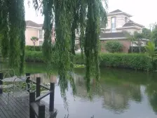 独栋别墅,大开间,品质小区,精装修,诚意出售