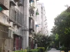 金杨·罗山一村·1室·1厅