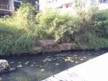 房子满五年 带院子 产权清晰 随时可以看房 视野好