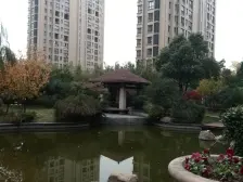 绿肺氧吧中的别墅-户型方正-位置好-联排A户型