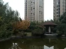 保利叶上海(三期) 5室2厅 南 北