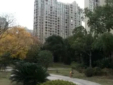 高区景观房,全明户型,多面积,看房方便,业主诚意卖