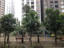 精装3室电梯带露台,楼下就是停车库,不潮湿,采光好