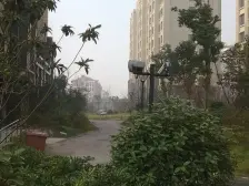 绿地金山名邸 1室1厅 南