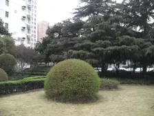 徐家汇·玉兰花苑·2室·2厅