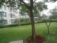 一期Te殊大两房,二手买进,上家税费低,带产权车位