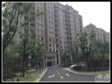 唐镇御樽苑430平别墅 带产权车位 精装修 看房随时