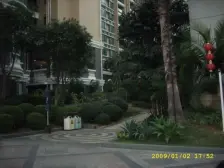 绿茵豪庭花园高层两房,港人诚意出售。