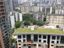 北滨路龙湖品质 朝东一线看江 随时看房