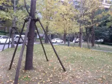 北滨路 龙湖 洋房 带前后花园 带车位 朝中庭住家安静