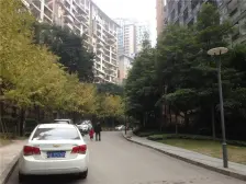 龙湖品质 正规大一室一厅 东南朝向 看江 视野好