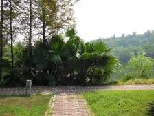 中安翡翠湖 联排别墅带车位 花园面积100平米 视野开阔