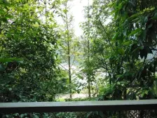 童家溪 中安翡翠湖传承三四房282万