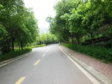 威尼斯印象 7室2厅 东南