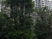 松山湖 万科虹溪诺雅 173平复式上下三层 带花园200平