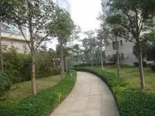 一线江景,全新未入住过,洁癖人士、婚房一定看过来!