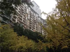 北滨路龙湖品质 住家安静 看房方便