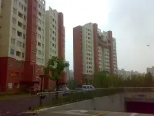 虹浦新城南区 1室1厅 南