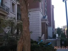 区政府旁 地铁口 人车分流 精装四房