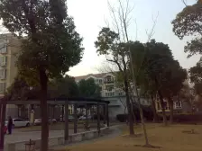 前滩南!总高4楼的3楼南北两房带双厅