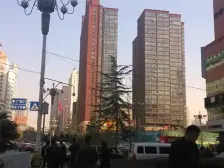 张掖路 中环广场 一室一厅