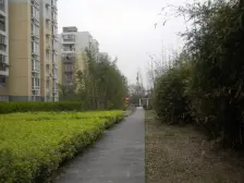 临近顾村公园站,诚心出售,双阳台,购物+出行方便