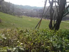 依山伴水,鸟语花香,融创品质精装三房